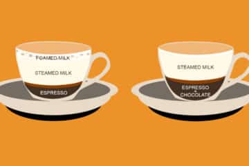 Mocha_vs_Latte_What's_the_Difference_No_Text